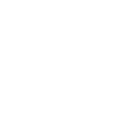 Compatibilità assicurata